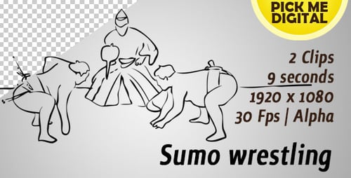 Sumo wrestling