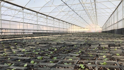 Landwirtschaft
