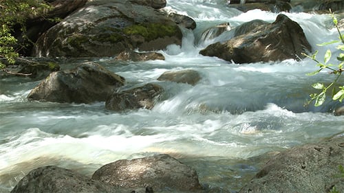 Wasserstrom in einem Wald