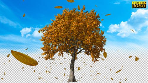 Autumn Tree with Falling Golden Leaves Loop