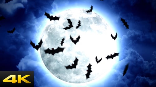 Flying Bats and Full Moon Animation