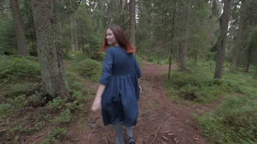 Pine forest,Beautiful Woman in Pine Forest,beautiful Girl Walking in Pine Forest.