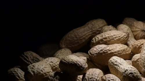 Close Up Pile of Peanuts in Shell