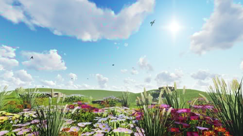 Green Field With Beautiful Flowers