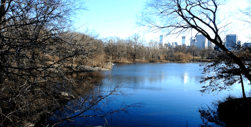 NYC Central Park Lake