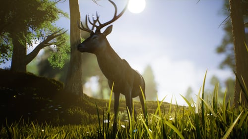 Majestic Deer in a Sunny Forest 3D Animation