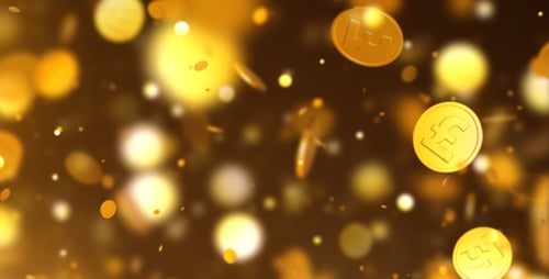 Golden Pound Coins
