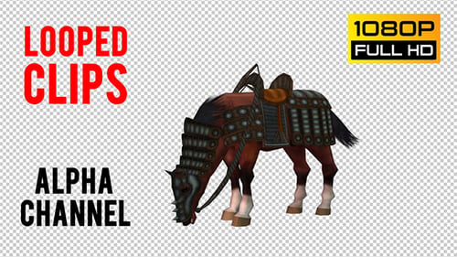 Animated Armored Horse Grazing Loop with Alpha Channel