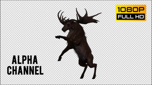 Stag Run