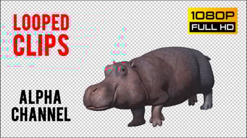 Animated 3D Hippopotamus Walk Cycle on Transparent Background