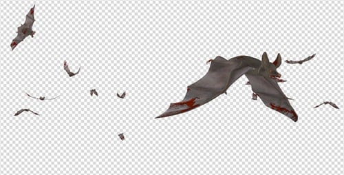 Animated Bloody Bats Flying for Halloween Horror Videos