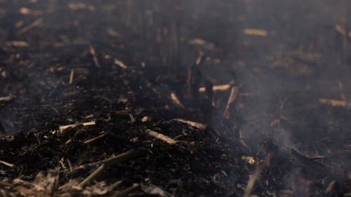 Field of Charred Earth with Wisps of Smoke