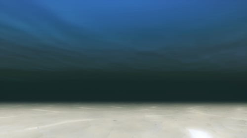 Wunderschönes Unterwassermeer
