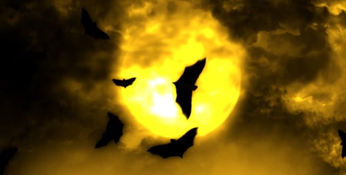 Spooky Halloween Night Bats Flying Around Full Moon