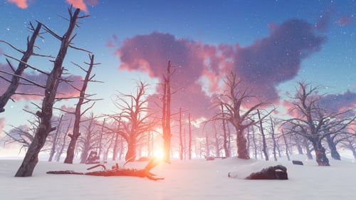 Winter Forest Sunset with Falling Snow