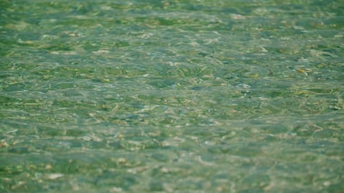 Blue Sea Water Holiday