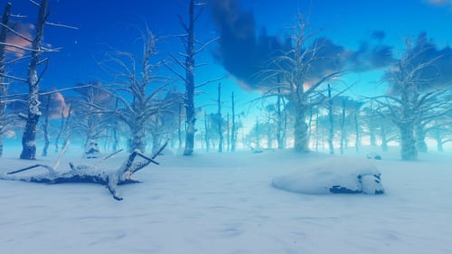 Winter Landscape