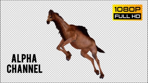 3D Animated Camel Leaping on Transparent Background