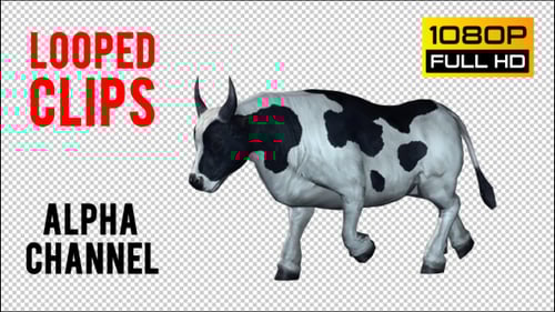 3D Animated Black and White Cow Walking on Transparent Background