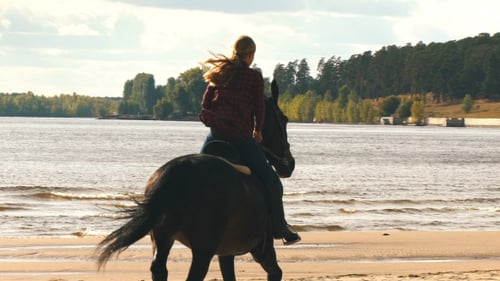Girl Riding a Horse on Coastline at the Beach in Early Morning