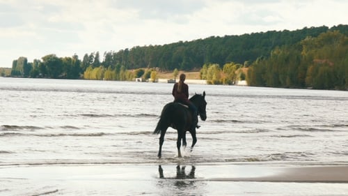 Young Pretty Girl Riding Horse in River Water