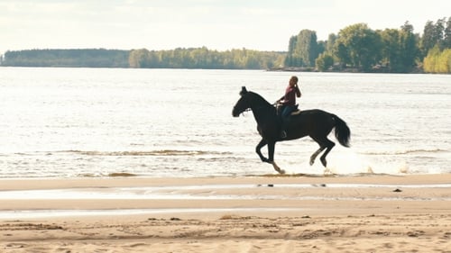 Girl Riding a Horse Along the Coast