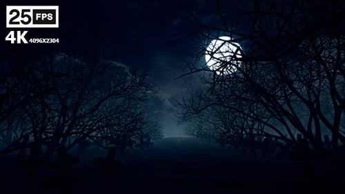 Eerie Full Moon Night in a Spooky Graveyard with Bare Trees
