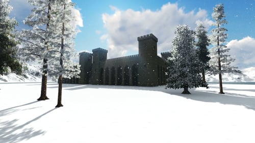 Castle in Snowy Forest