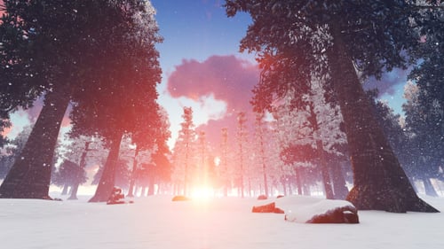 Sonnenuntergang im verschneiten Wald