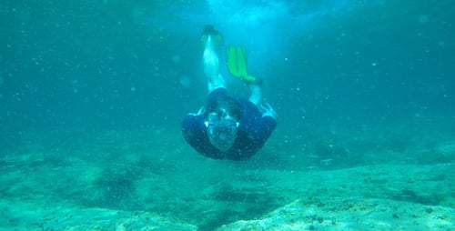 Snorkeling In Muddy Water