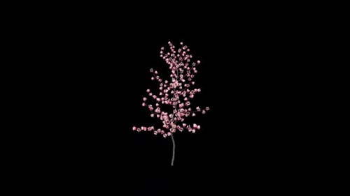 Organic Growth Flowering Tree Animation