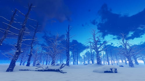 Snowy Winter Landcape