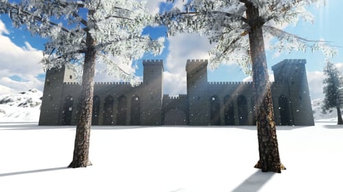 The Winter and The Castle