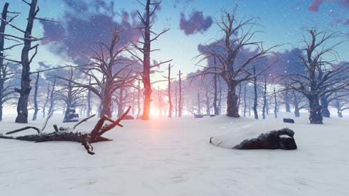 Frozen Forest with Snow