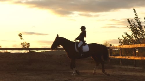 Silhouette eines Mädchens, das bei Sonnenuntergang auf einem Pferd reitet