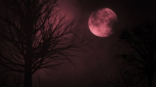 Eerie Red Moon and Bare Tree Halloween Night Animation