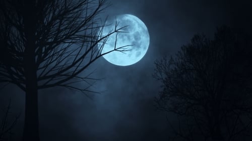 Spooky Full Moon Night with Bare Trees and Drifting Mist