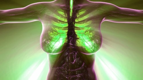 Human Lungs Respiration Animation Medical Scientific Visualization