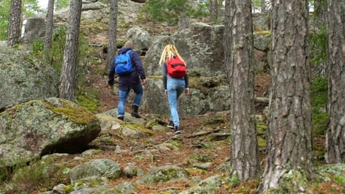 Young Active Couple Climbing on the Rock in the Northern Forest