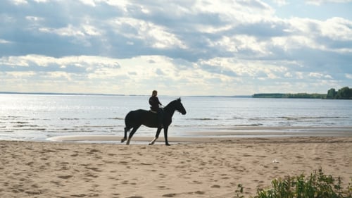 Girl Riding a Horse on Coastline at the Beach in Early Morning