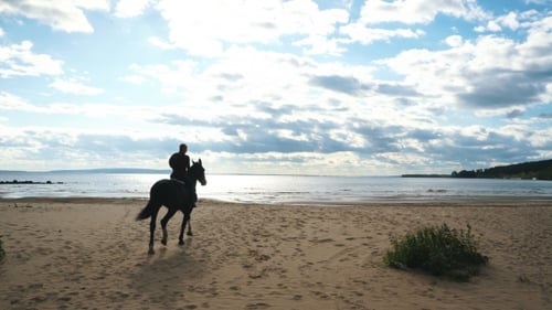 Girl Riding a Horse Along the Coast