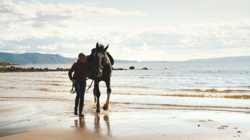 a Young Girl Walks on the Beach with a Horse