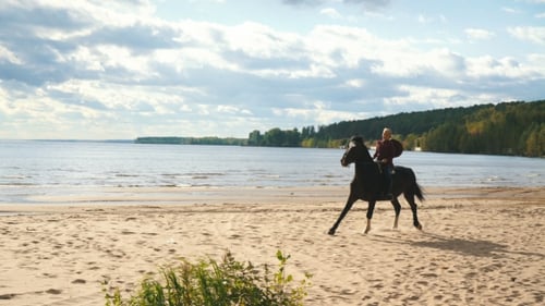 Girl Riding a Horse on Coastline at the Beach in Early Morning
