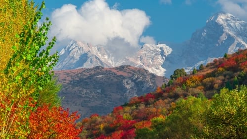 The Mountain Autumn Landscape with Colorful Forest