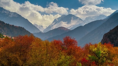 of Colorful Autumn Landscape in the Mountains with Forest.