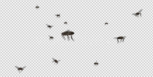 Mouches Swarm - 4K
