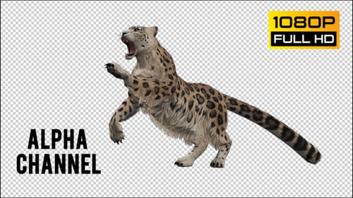 Leopard 2
