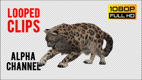 Leopard 5