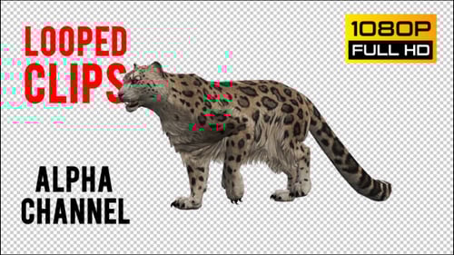 Realistic 3D Snow Leopard Walk Cycle Animation