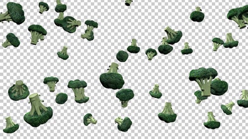 Animated Falling Broccoli Florets on Transparent Background